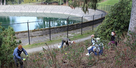 2nd Saturday Work Party in Volunteer Park