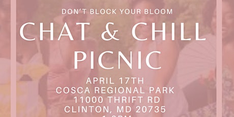 Chat & Chill Picnic primary image