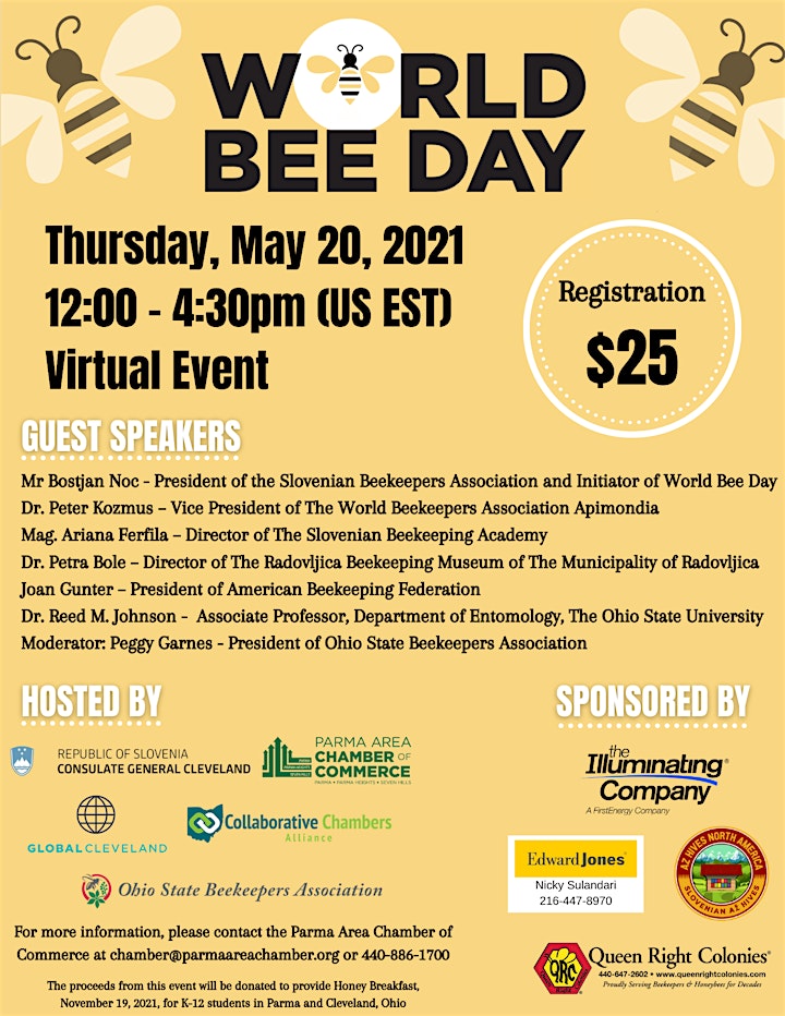 World Bee Day image