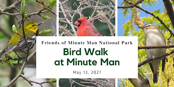 Bird Walk at Minute Man National Park