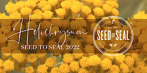 Helichrysum Seed to Seal Experience