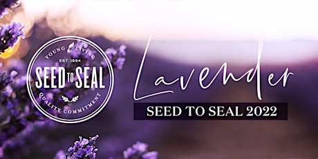 Lavender - Seed to Seal Experience