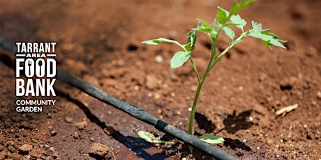 Backyard & Community Garden Drip Irrigation primary image