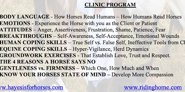 Tim Hayes 1 Day Equine Therapy