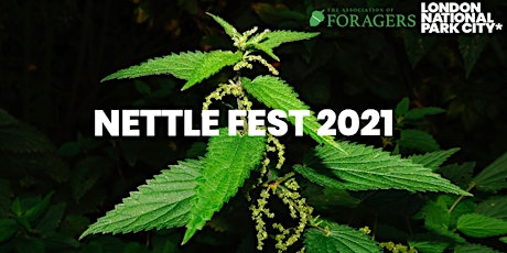 Nettle Fest 2021 primary image