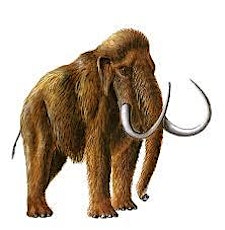 Castroville Mammoth & Paleo Indian Dig Lecture primary image
