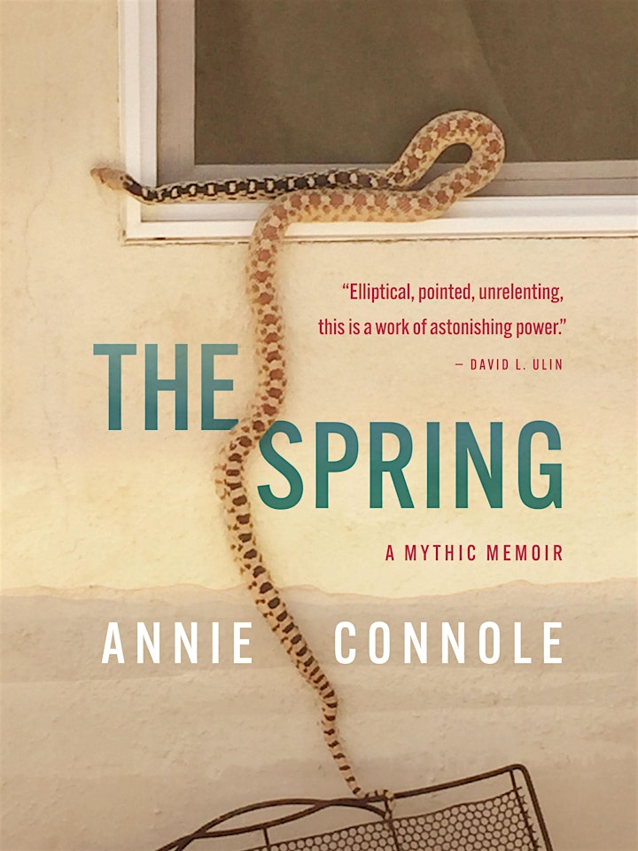 The Desert Split Open Presents… Annie Connole image