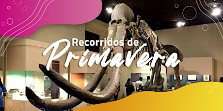 Imagen principal de Museo de Paleontología