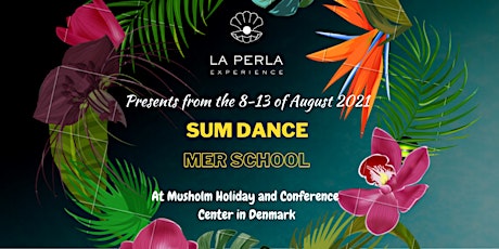 “Summer Dance School in Denmark “ primary image