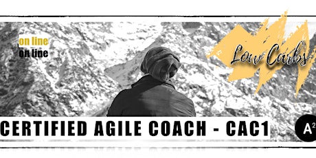 Hauptbild für Agile Coaching  Program + Certification  May / June 2021
