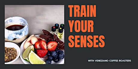 Train your Senses primary image