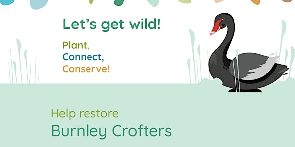 Let's Get Wild at Burnley Crofters!