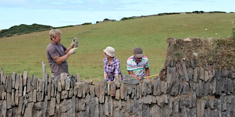 Introduction to Cornish Hedging - 2 Day Course primary image