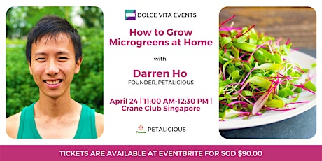How to Grow Microgreens at Home primary image