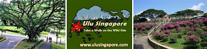 Scenic Singapore - The Southern Ridges image