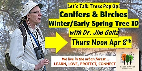 Winter/Early Spring Tree ID:  Conifers & Birches, with Dr. Jim Goltz primary image