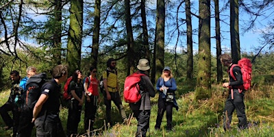 Kilranelagh Full Guided Walking Tour  -  Group discounts available! primary image