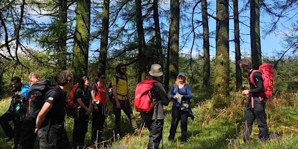Kilranelagh Full Guided Walking Tour  -  Group discounts available!
