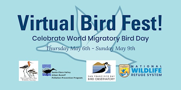 Virtual Bird Fest