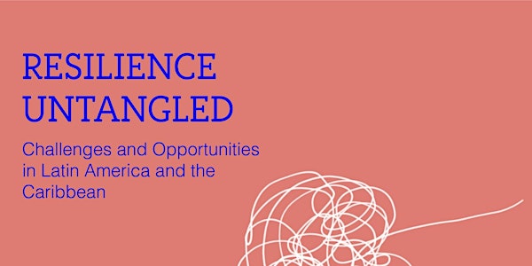 Resilience Untangled: Challenges and Opportunities in Latin America