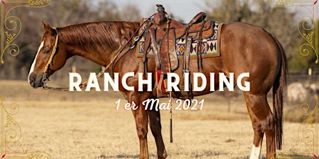 Concours Équestre Virtuel de Ranch Riding avec Juge Jennifer Lévie primary image