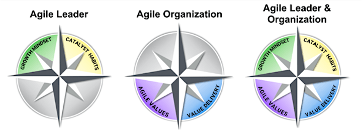 
		Certified Agile Leadership ( CAL-E + CAL-O)   :  APAC GLOBAL Workshop image
