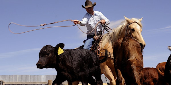 Colorado Championship Ranch Rodeo & Chuck Wagon Cook Off