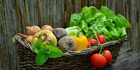Thinking about Eating Organic? Here’s How to Get Started primary image