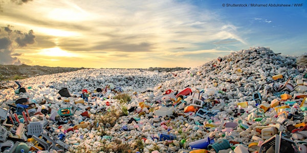 How can we solve our plastic pollution problem?