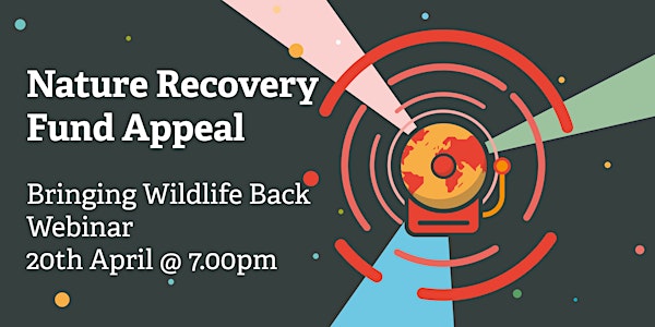 Nature Recovery Fund Appeal: Bringing Wildlife Back