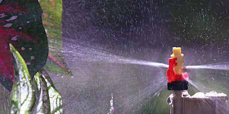Irrigation for your Florida yard primary image