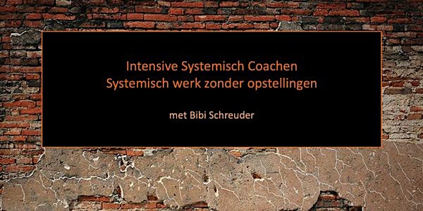2-daagse Intensive 'Systemisch  Coachen'