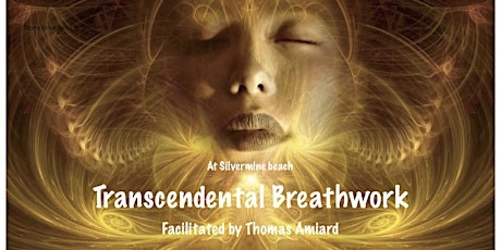 Transcendental Breathwork facilitated by Thomas Amiard primary image