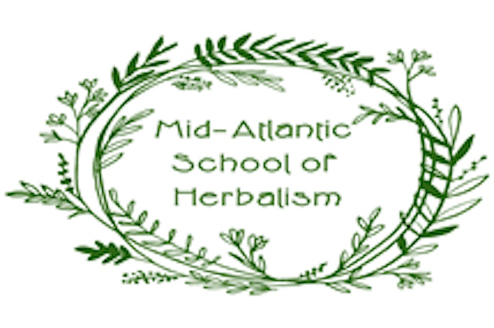 Herbal Foundations: Herbal History, Global Traditions, & Medicine Making image