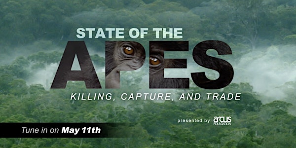 State of the Apes Broadcast: Killing, Capture, Trade, and Conservation