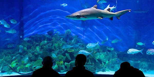 Torrens and Think Education SEA LIFE Aquarium Visit!