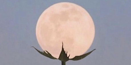 Hauptbild für Full Moon Dance - Flower Moon