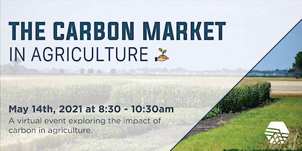 The Carbon Market in Agriculture