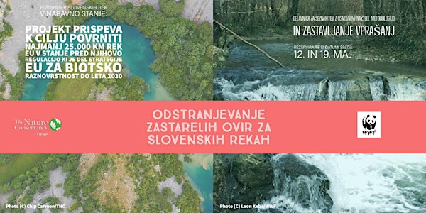 Obnova slovenskih rek z odstranitvijo zastarelih ovir