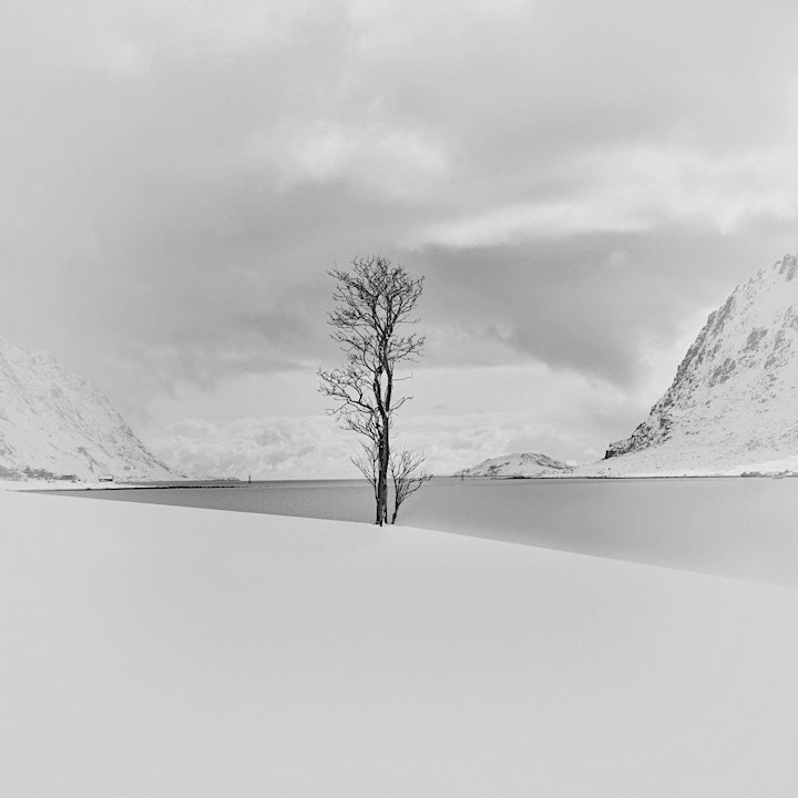 The Incredible Lofoten (Norway) - Winter Photo Workshop w/ Marc Koegel 2022 image