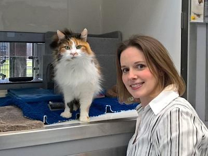 Vets: Becoming Behaviourally Savvy image