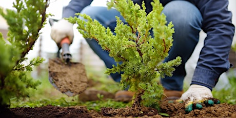 Introduction to Gardening and Garden Planning primary image