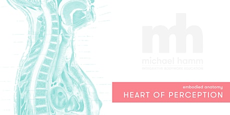 Embodied Anatomy: The Heart of Perception