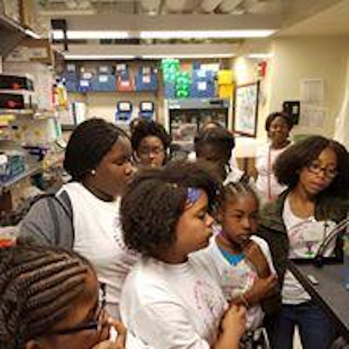 Girls Soaring in STEM  - Virtual Conference for Middle School Girls & Women image