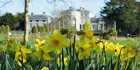 Timed entry to Shugborough Estate (26 Apr - 2 May) primary image