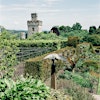 Gardens at Lismore Castle & Lismore Castle Arts's Logo