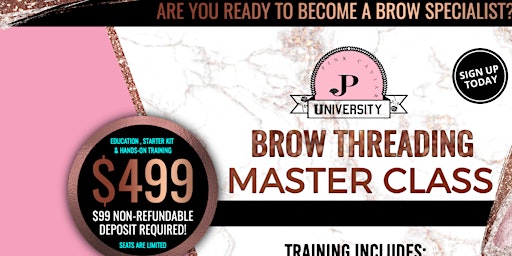 Learn 5 Brow Techniques Master Class $499  primärbild