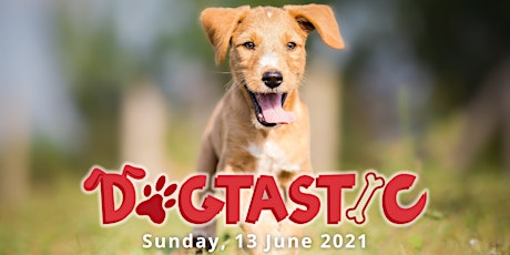 DOGTASTIC 2021 primary image