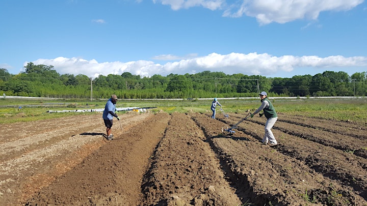 Arcadia Farm Volunteer (individual) image