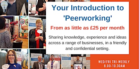Virtual 'Peerworking' Surgery 30th July primary image